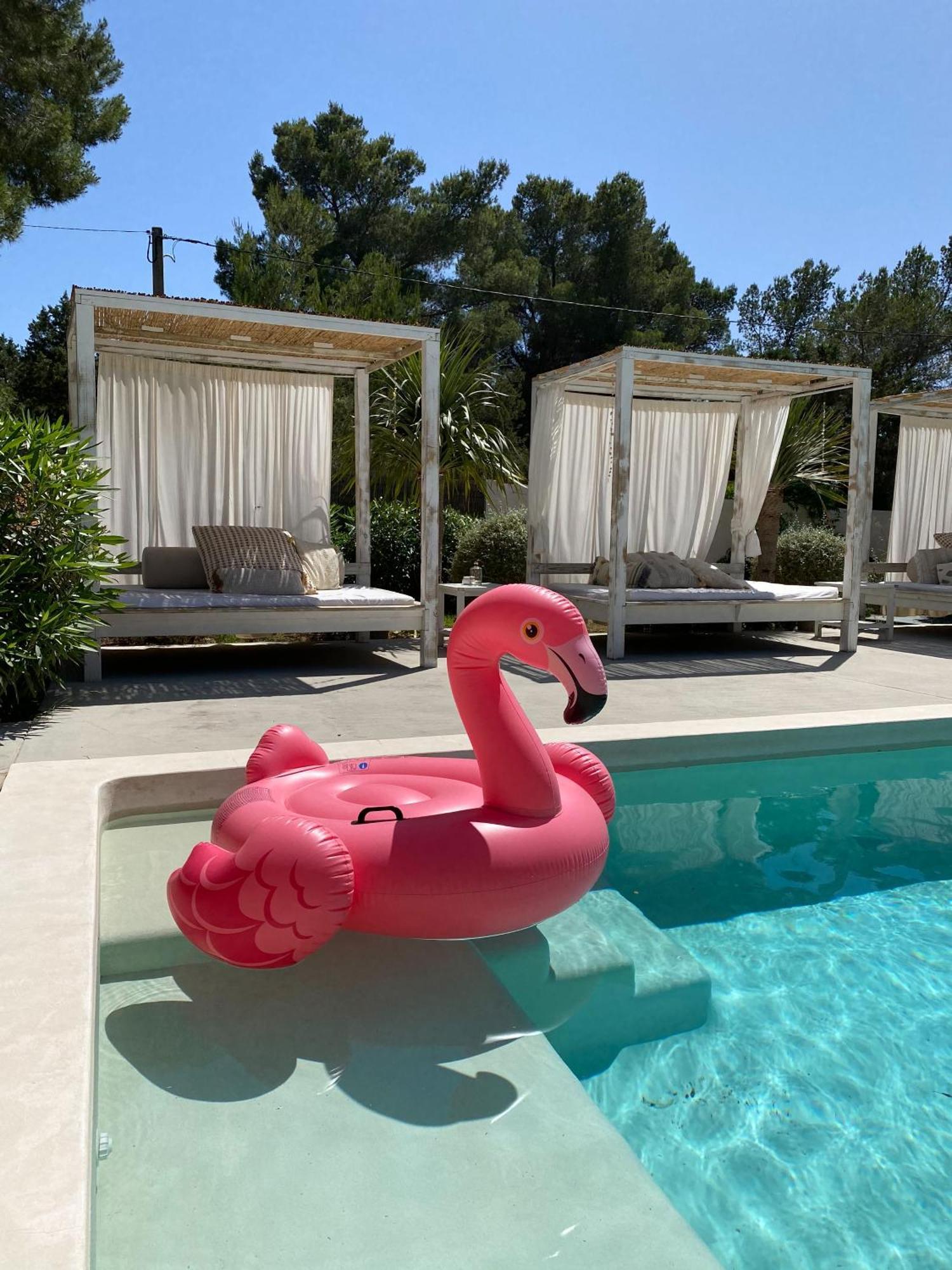 Boutique Hotel Casa Caracol - Apartments In Strandnaehe, Salzwasserpool, Fotovoltaik, Adults Only San José Exteriör bild